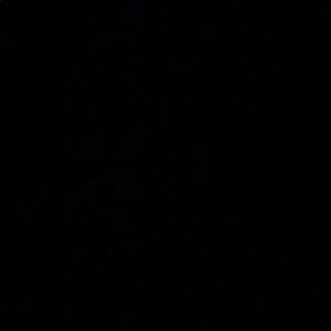 Meet your Posher, Breanna